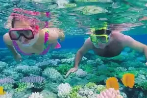 Colorful coral reefs and tropical fish at Small Giftun Island Hurghada