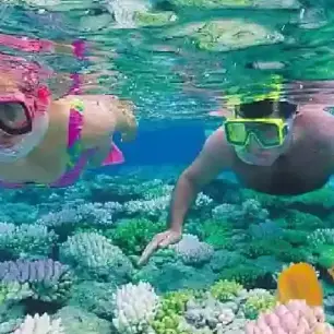 Small Giftun Island & Coral Reefs
