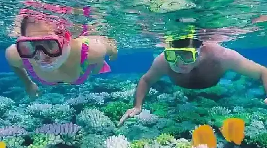 Small Giftun Island & Coral Reefs
