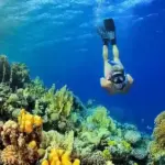 A professional snorkeler diving deep to explore the rich coral reef formations and marine life in Hurghada.