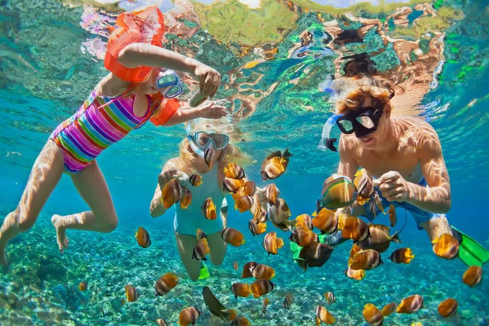A happy family snorkeling and feeding colorful tropical fish in the Red Sea during a private boat trip Hurghada