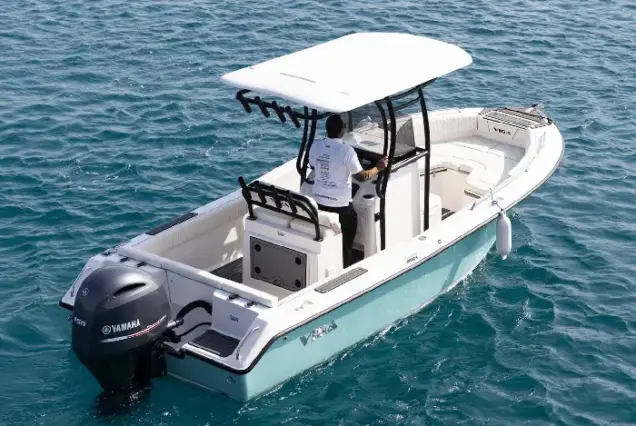 Powerful twin Yamaha 250hp engines Red Sea