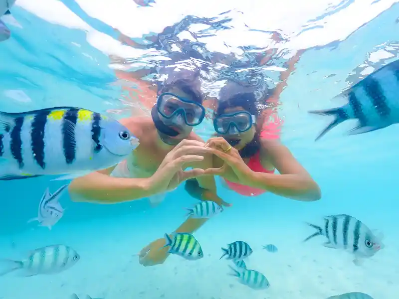 how much is snorkeling in hurghada