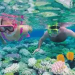 how much is snorkeling in hurghada
