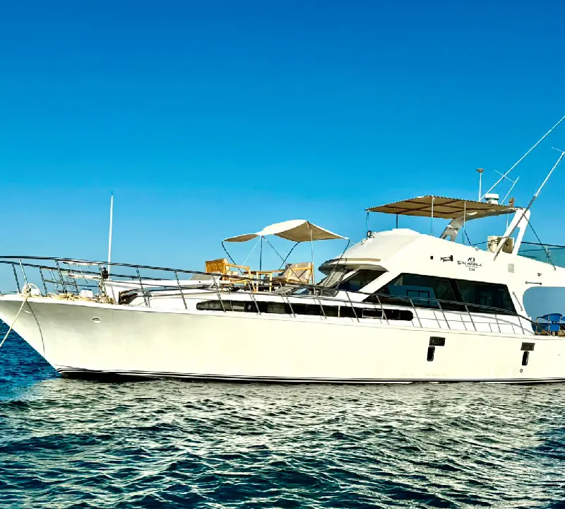 Private Boat Cruise in Hurghada 