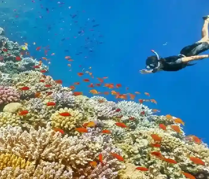 private boat trip hurghada