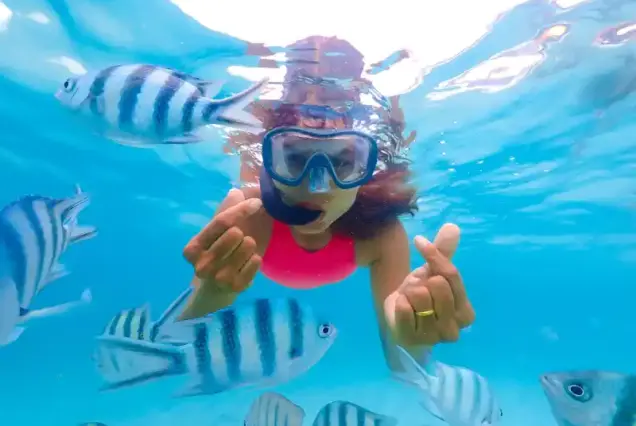 Private Speedboat Tour Hurghada to Magawish Island