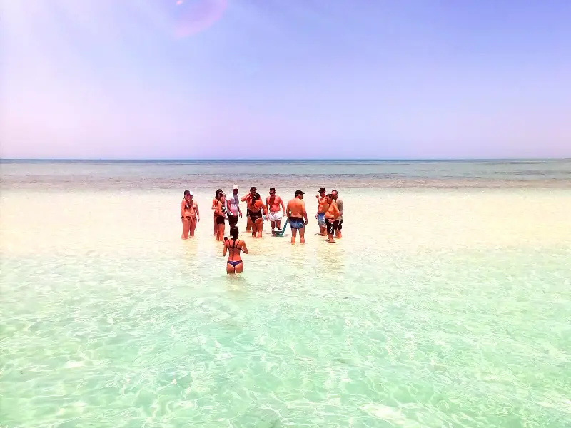 Private Speedboat Tour Hurghada Abu Minqar