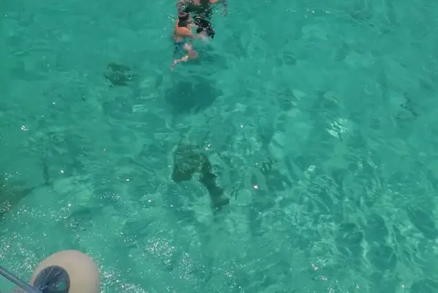 Private Speedboat Tour Hurghada Abu Minqar Island