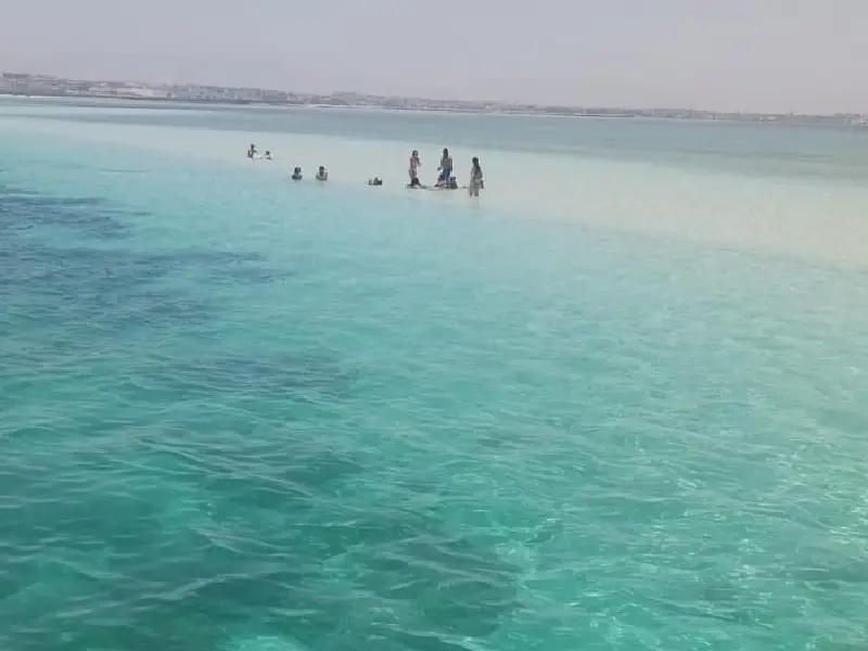 Private Speedboat Tour Hurghada Abu Minqar Island