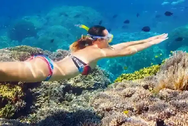 Private Speedboat Tour Hurghada Orange Bay