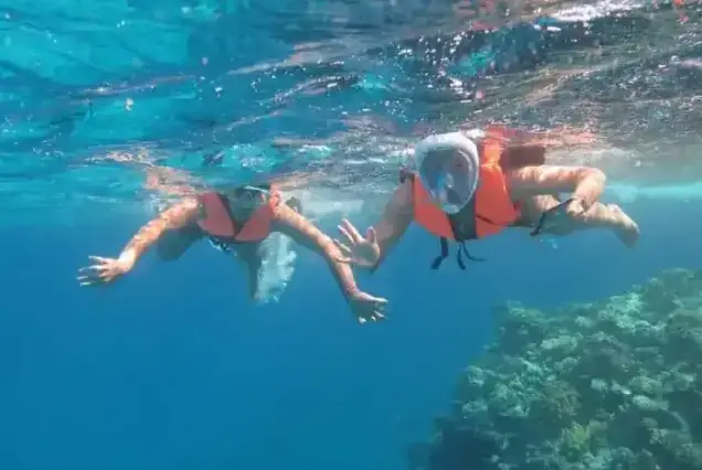Snorkelers with life jackets exploring shallow Red Sea waters on private boat trip