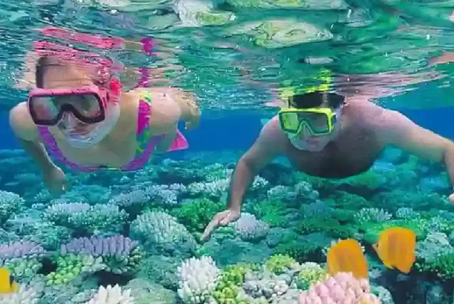 Couple snorkeling above vibrant coral reefs and yellow fish in Hurghada Red Sea.