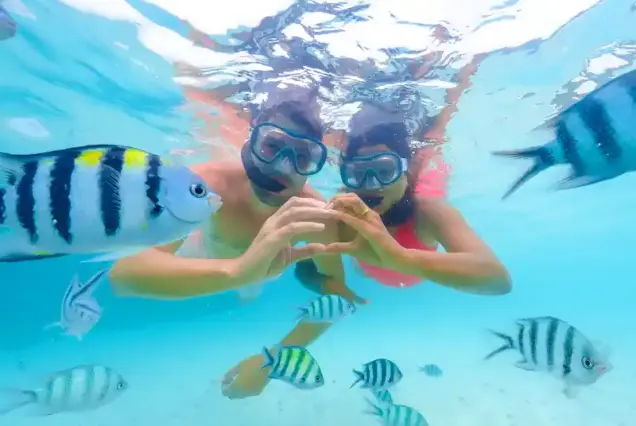 Private Speedboat Tour Hurghada to Magawish Island