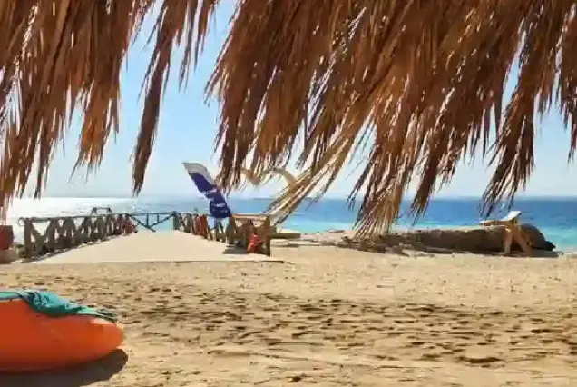 Private Speedboat Tour Hurghada to Magawish Island