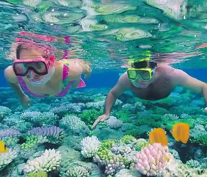 private boat trip hurghada snorkeling