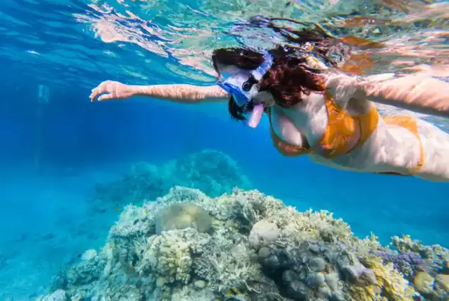 private boat trip orange bay hurghada