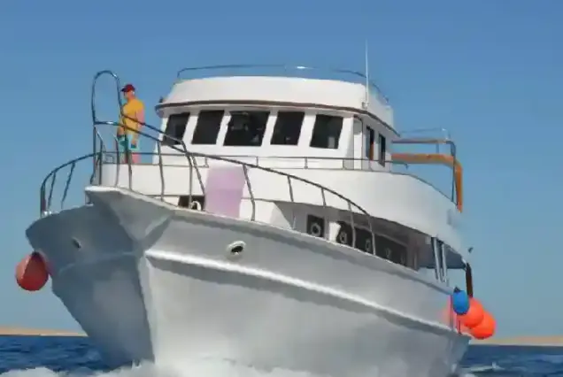 private dolphin trip hurghada