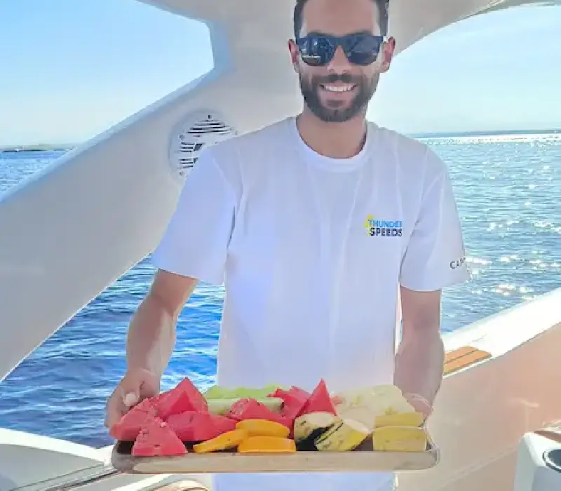 wild dolphin watching hurghada