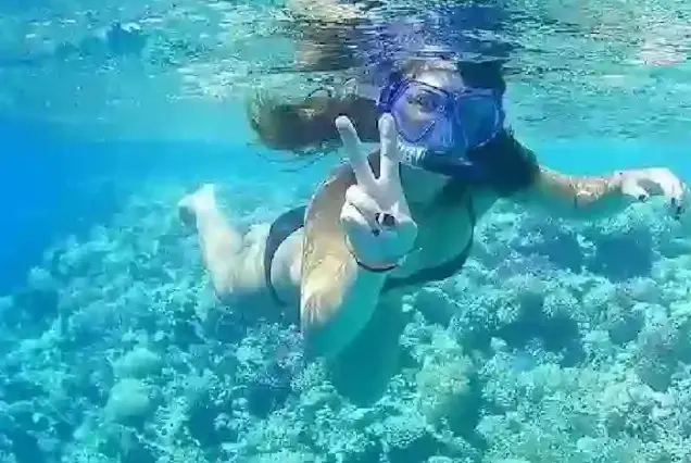 wild dolphin watching hurghada