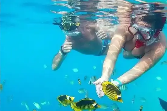 Best Snorkeling in Hurghada