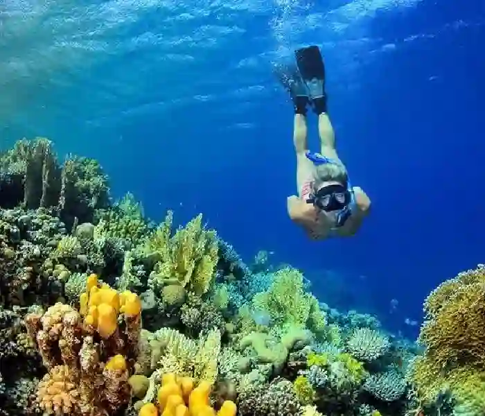 Best Snorkeling in Hurghada